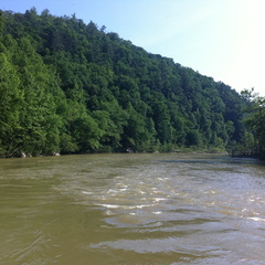The River Big South Fork - 45
